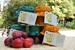 9Muse B&B - le marmellate confezionate con la frutta biologica “a metri zero” del frutteto di casa